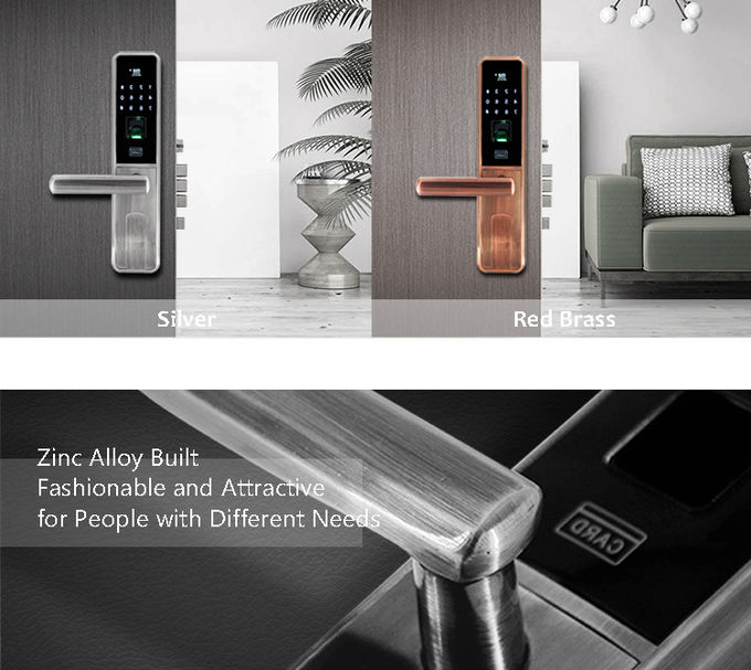 OLEDの表示指紋のドア ロックのタッチ画面のデジタル理性的な4x AA電池 1