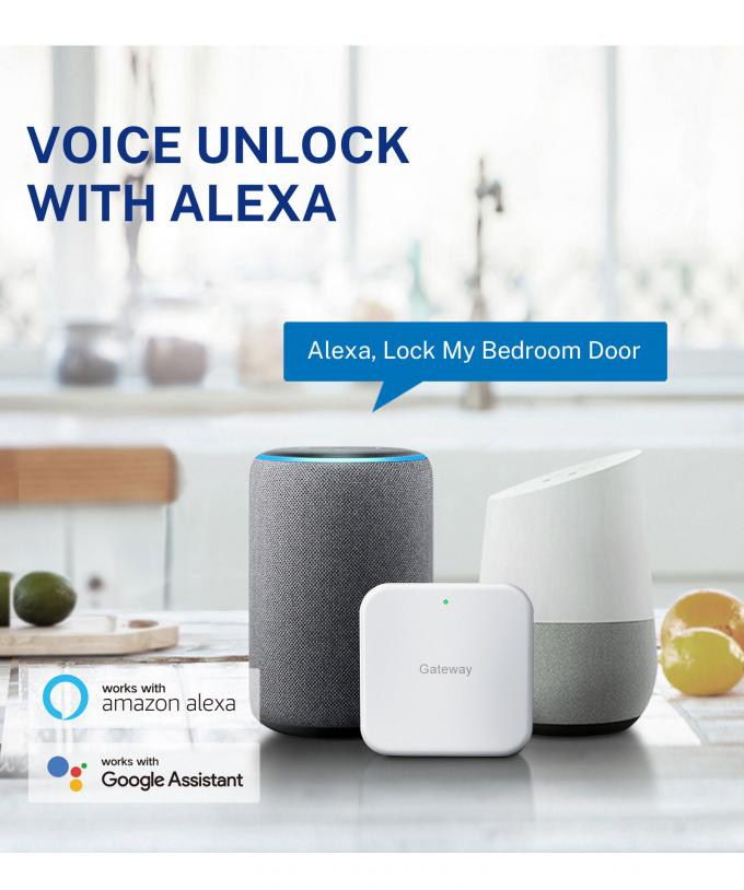 リリワイズ セキュリティ デジタル ドアベル ツヤ Wifi スマート 指紋ロック 顔認識カメラ ドアロック コントロール De アクセス 24