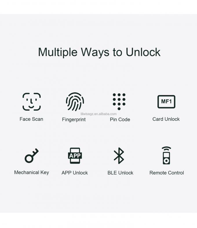 リリワイズ ツヤ 家庭用 セキュリティ 玄関鍵 屋外 デジタル指紋 防水 セキュリティ 顔認識 スマートロック 4