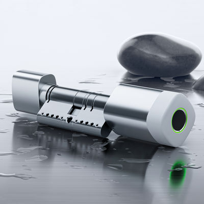 Liliwise 指紋 RFID カード 防水 ドアロック 調節可能な WiFi BLE Tuya Ttlock スマートシリンダーロック 古い機械式ロックの交換用