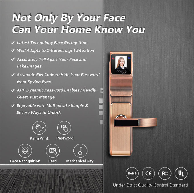 Familyのためのスマートな3D赤外線顔認識のドア ハンドル ロックおよびCompany 0