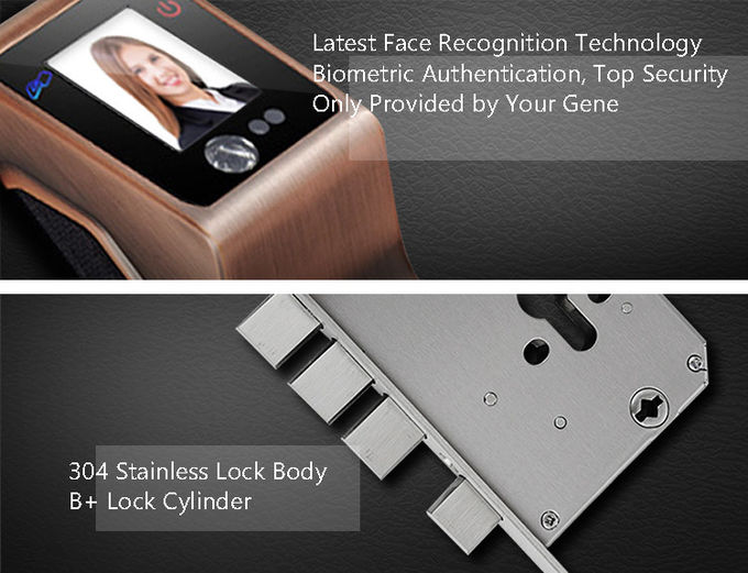 保証大きいパネルの指紋亜鉛合金のドア ロックIRの顔認識 3